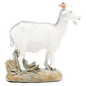 Capretta 16 cm resina colorata