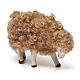 Sheep with head down 14 cm nativity set s2