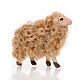 Sheep head high 8 cm nativity set s1