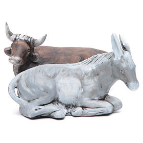 Bue e asinello 18 cm presepe napoletano