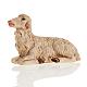 Neapolitan Nativity figurine, Sheep 14cm s1