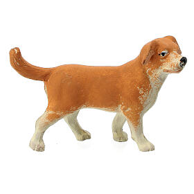 Cane 14 cm presepe napoletano
