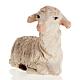 Neapolitan Nativity figurine, Laying sheep 12cm s2
