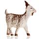 Neapolitan Nativity figurine, Goat 12cm s2