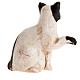 Gato branco e preto 8 cm presépio Nápoles s2