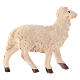 Stojąca owieczka 14 cm figurka do szopki neapolitańskiej s2