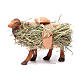 Camello de pie con leña cm 8 pesebre napolitano s1
