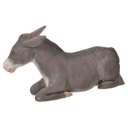 Asno de terracota 24 cm Belén napolitano 2