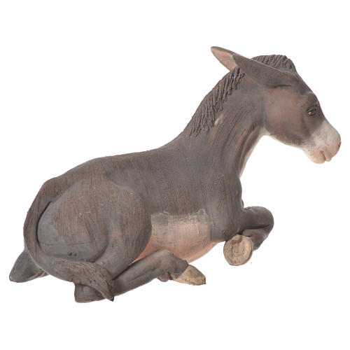 Asno de terracota 24 cm Belén napolitano 3