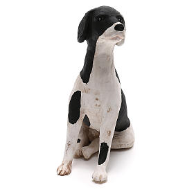 Perro sentado 24 cm terracota belén Nápoles