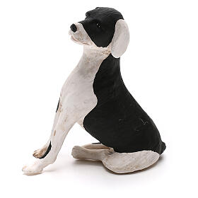 Cachorro sentado para presépio napolitano com figuras altura média 24 cm