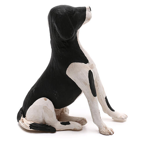 Cachorro sentado para presépio napolitano com figuras altura média 24 cm 3