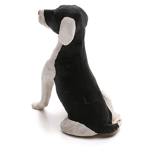 Cachorro sentado para presépio napolitano com figuras altura média 24 cm 4