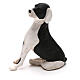 Cachorro sentado para presépio napolitano com figuras altura média 24 cm s1