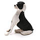 Terracotta dog sitting, 24cm Neapolitan Nativity s1