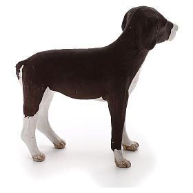 Perro de pie 24 cm de altura media terracota belén Nápoles