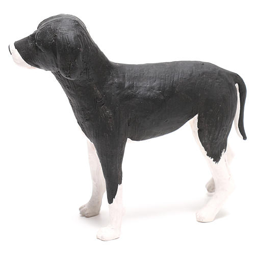 Pies stojący 24 cm terakota szopka z Neapolu 5