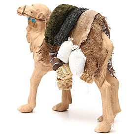 Camel with harness 24cm Neapolitan Nativity Scene