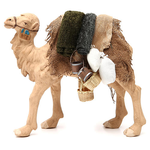Camel with harness 24cm Neapolitan Nativity Scene 1