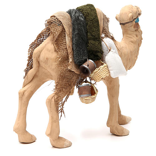 Camel with harness 24cm Neapolitan Nativity Scene 3