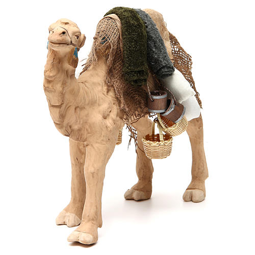 Camello enjaezado 24 cm belén napolitano 4