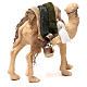 Camello enjaezado 24 cm belén napolitano s3