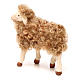 Mouton debout avec laine 24cm crèche Naples s2