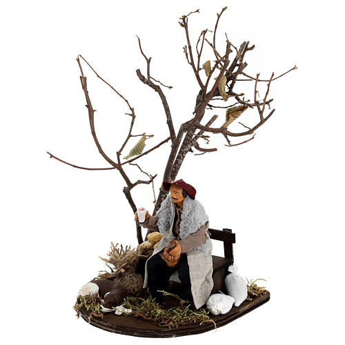 Vagabundo com cão num banco e árvore para presépio Nápoles com figuras de 12 cm de altura média 2
