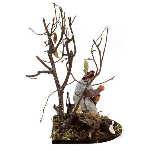 Vagabundo com cão num banco e árvore para presépio Nápoles com figuras de 12 cm de altura média 5