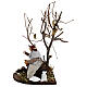 Vagabundo com cão num banco e árvore para presépio Nápoles com figuras de 12 cm de altura média s3