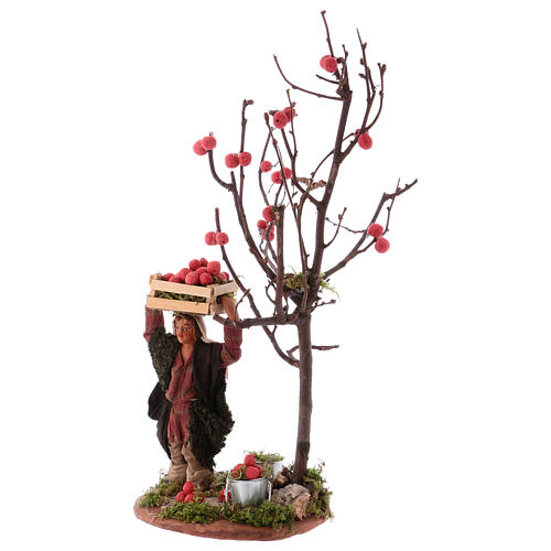 Man with apple basket and tree for Neapolitan Nativity 10 cm 2