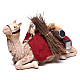 Harnessed sitting camel for Neapolitan nativity 14cm s3