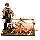 Mężczyzna przy zagrodzie świń, szopka neapolitańska 14 cm s1