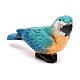 Parrot with closed wings for Neapolitan nativity scene s2