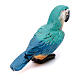 Papuga skrzydła złożone, szopka neapolitańska s3