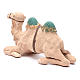 Cammello decorato seduto terracotta 24 cm presepe napoletano s2