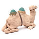 Cammello decorato seduto terracotta 24 cm presepe napoletano s3