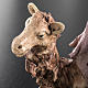 Kamel rosa Terrakotta 18 cm s4