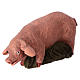Schwein Terrakotta Deruta 18 cm s2