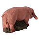 Schwein Terrakotta Deruta 18 cm s4