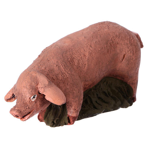 Porco em terracota para presépio de Deruta com figuras de 18 cm altura média 2