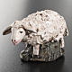 Sheep Deruta terracotta 18 cm s2