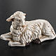 Sheep sitting down Deruta terracotta 18 cm s2