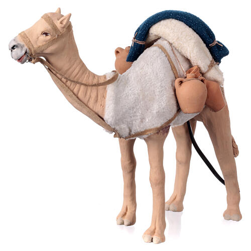Camelo em movimento para presépio napolitano figuras altura média 24 cm 4