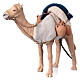 Camelo em movimento para presépio napolitano figuras altura média 24 cm s4