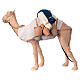 Camelo em movimento para presépio napolitano figuras altura média 24 cm s5