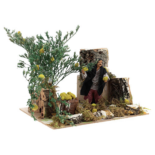 Man picking lemons, 12cm animated nativity 3