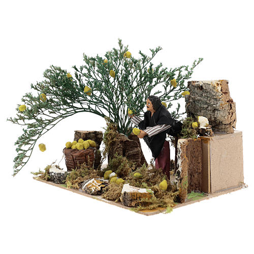 Man picking lemons, 12cm animated nativity 2