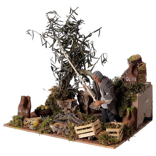 Man harvesting olives, 12cm animated nativity 2
