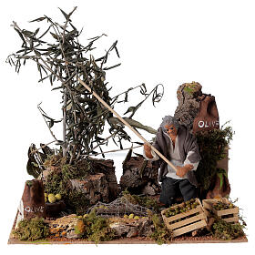 Man harvesting olives, 12cm animated nativity